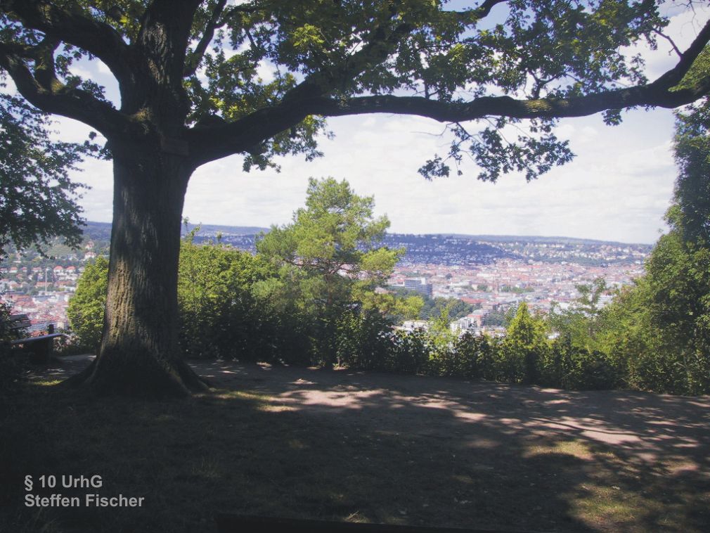 Aussichtpunkt Schillereiche 5